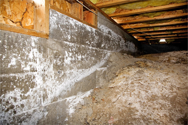 Repairing A Moisture Problem in Your Crawl Space